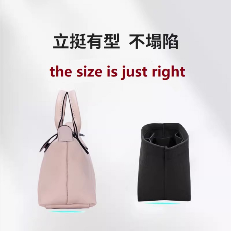 Bag Organizer For Longchamp En - đánh giá và giá Women'S Bags Longchamp